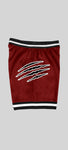 Morehouse "Tigers" Shorts